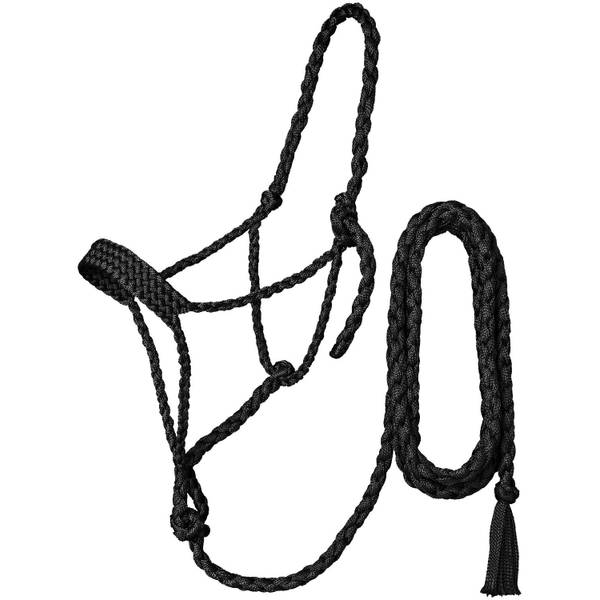Photo of 10' Black Premium Mule Tape Halter with Lead