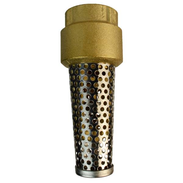 EcoFlo 1" Brass Foot Valve EFFV100 Blain's Farm & Fleet