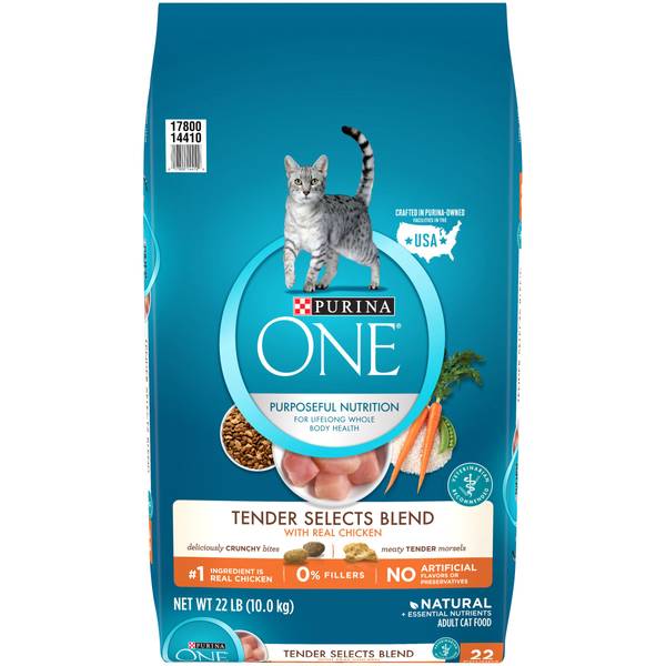 Purina Kit & Kaboodle Original Adult Dry Cat Food - 22 lb. Bag