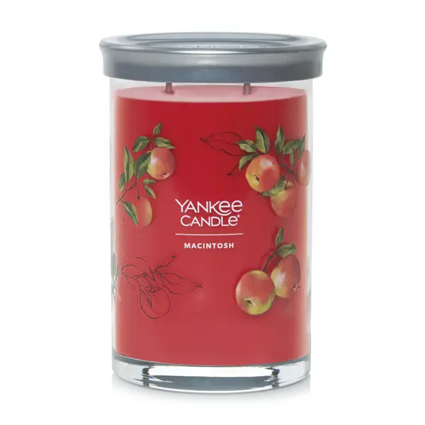 Buy Yankee Candle Small Tumbler Candle, Pink Sands Online at