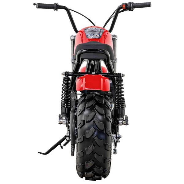 Farm and fleet online dirt bike