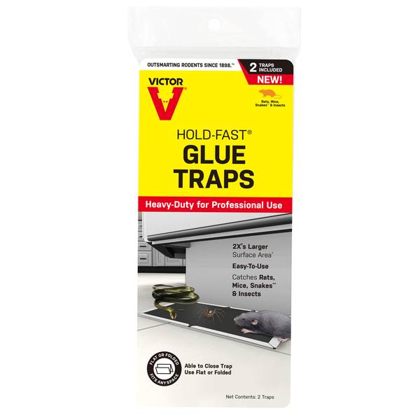 Victor HoldFast Rat Glue Traps M669 Blain's Farm & Fleet