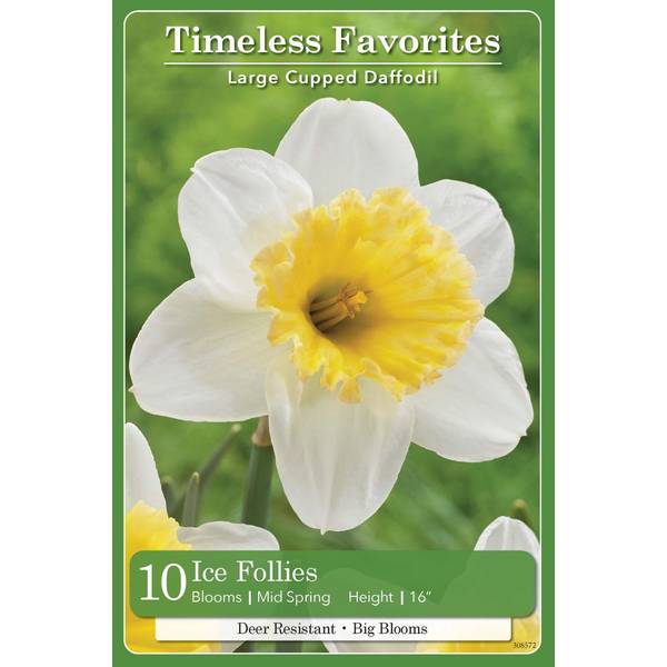 Photo of 10-Count Narcissus Ice Follies