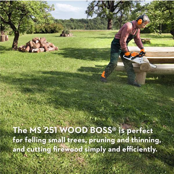 STIHL 18