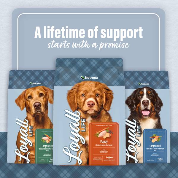 Animal Feeds Loyall Dog Food Breeder Program Loyall Life Large