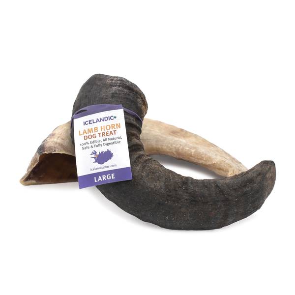 Icelandic+ Large Lamb Horn Dog Chew 6000248 Blain's Farm & Fleet