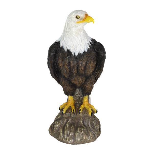 Photo of 15.5" Bald Eagle on Log