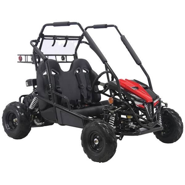 High Quality Adult 196cc Cheap Racing Go Kart for Sale - China Go