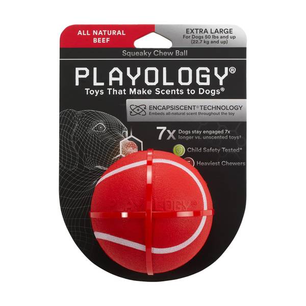 Playology XL Beef Squeaky Chew Ball Dog Chew 563074 Blain's Farm