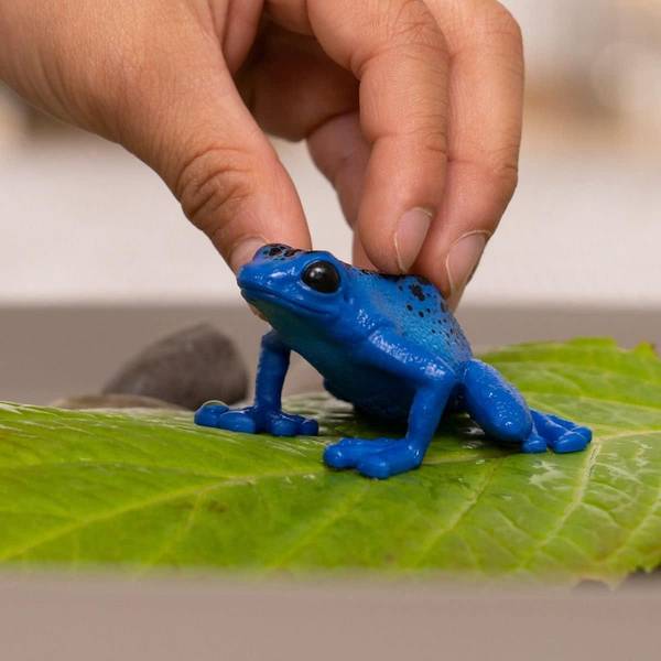 Schleich Blue Poison Dart Frog - 14864 | Blain's Farm & Fleet