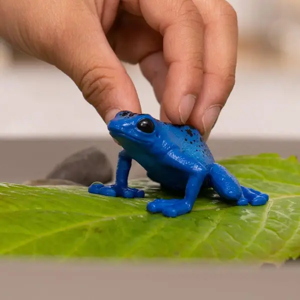 Schleich Blue Poison Dart Frog - 14864 | Blain's Farm & Fleet
