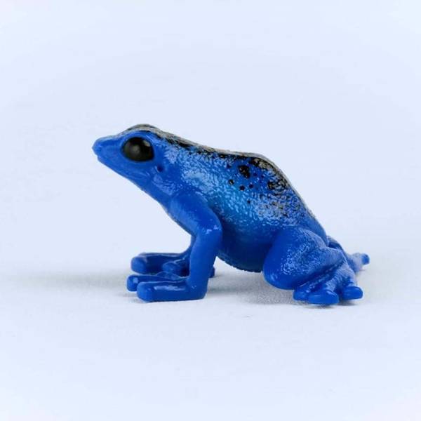 Schleich Blue Poison Dart Frog - 14864 | Blain's Farm & Fleet