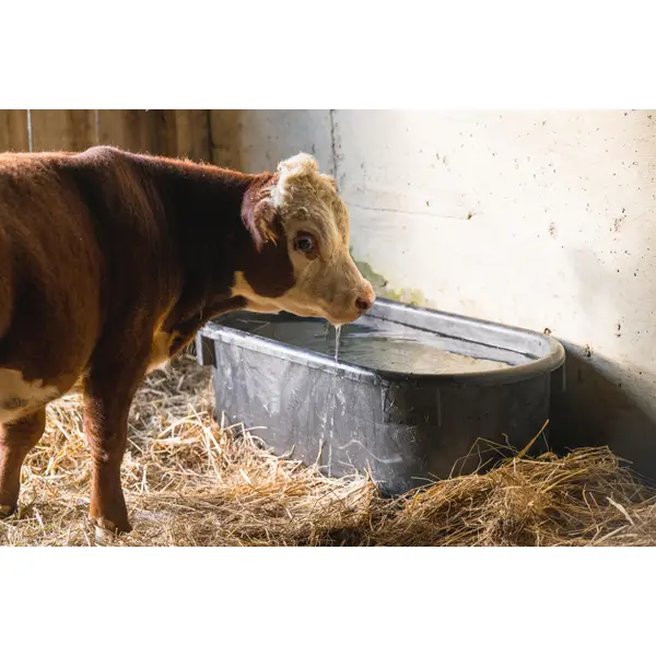 Behlen Country Rigid Poly Stock Tank - 52120275 | Blain's Farm & Fleet