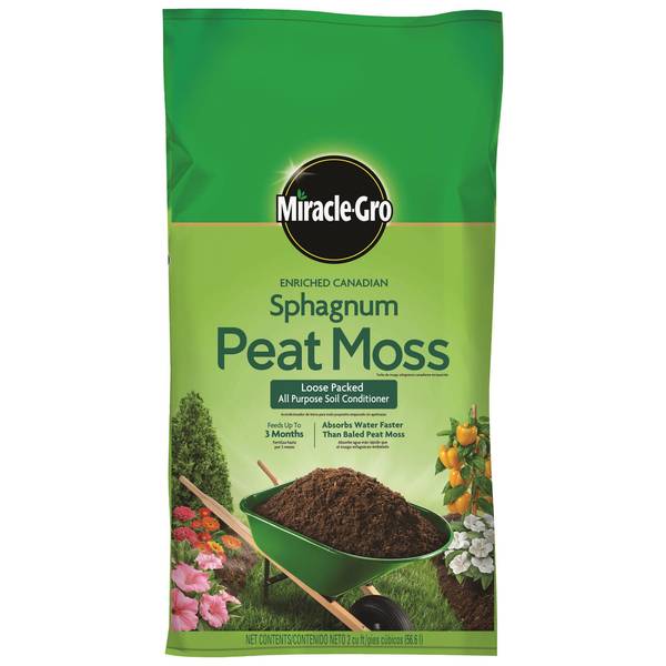 What's the Difference Between Sphagnum Moss vs Peat Moss? - Garden Therapy