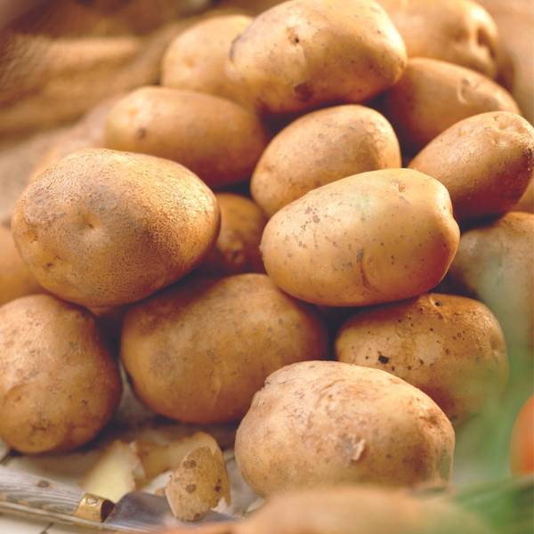 Photo of 4lb Yukon Gold Planting Potato