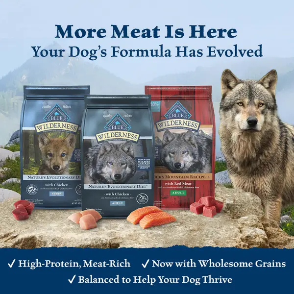 Blue mountain dog food sale