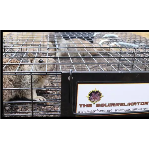 Rugged Ranch Squirrelinator Live Squirrel Trap