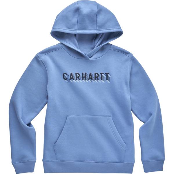 Farm and fleet online carhartt hoodie