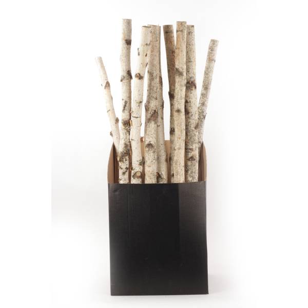 Photo of 32" Natural Birch Pole