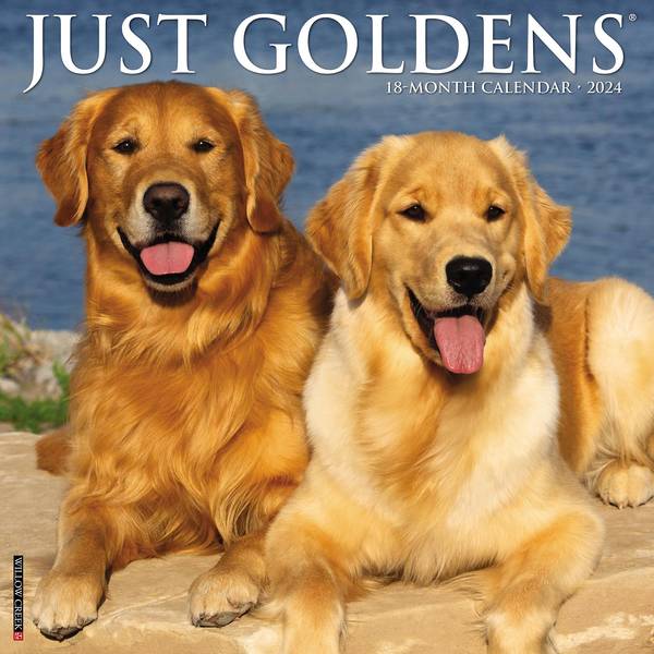 Willow Creek Press Just Goldens 2024 Wall Calendar 33739 Blain's