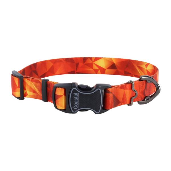 Photo of Inspire Adjustable Fashion Dog Collar