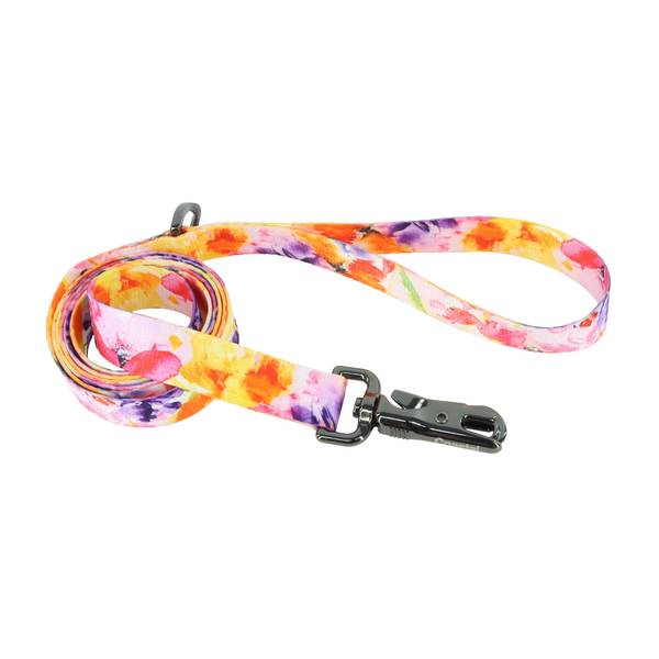 Photo of 6' Inspire Dog Leash