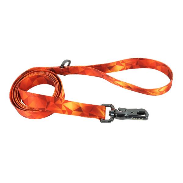 Photo of 6' Inspire Dog Leash