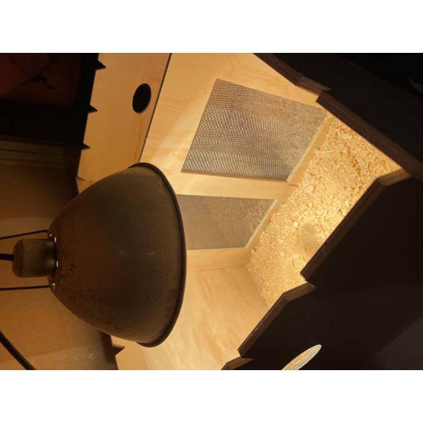 Photo of Chick Brooder Box