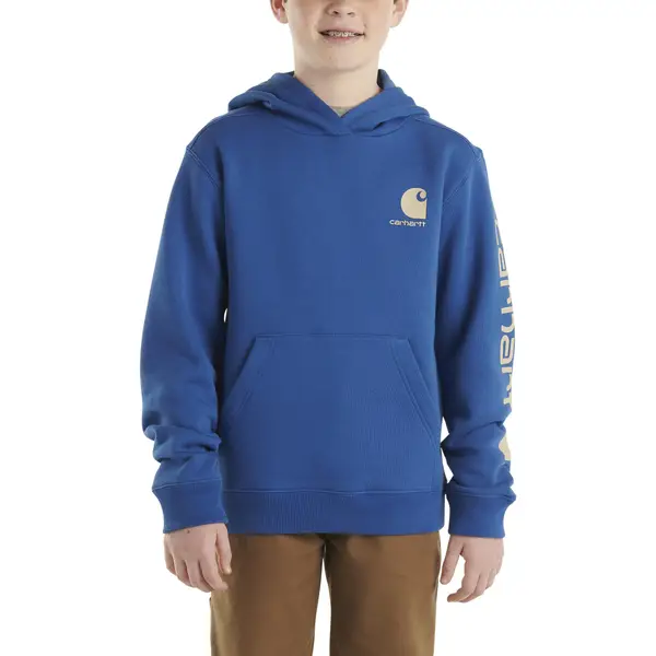 Farm and fleet online carhartt hoodie