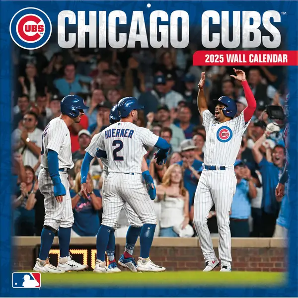 Chicago Cubs Items at Blain's Farm & Fleet