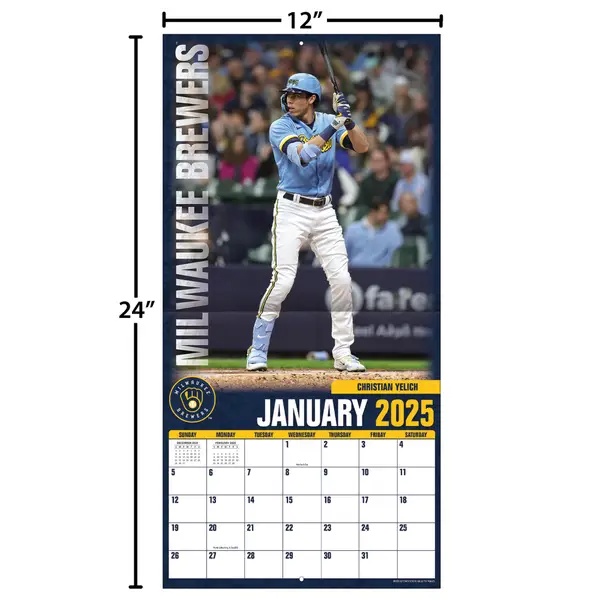 Turner Licensing, MLB Chicago White Sox 2022 Wall Calendar : The Lang  Companies: Office Products 