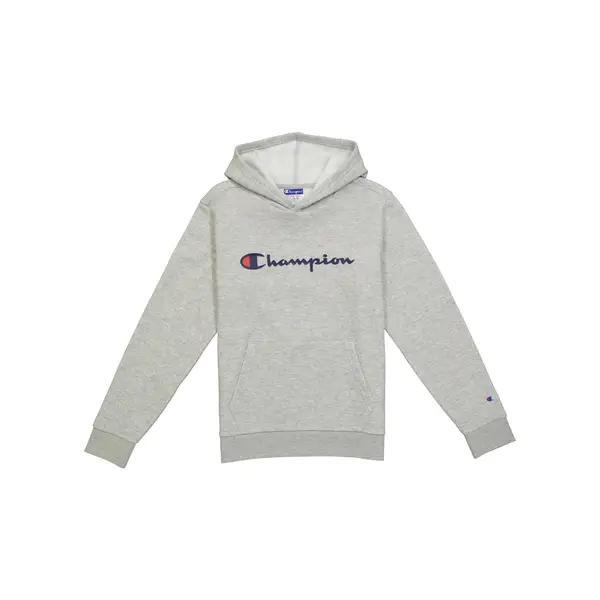 Champion best sale script hoodie