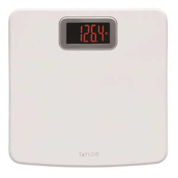 TAYLOR USB DIGITAL LCD KITCHEN SCALE 11LB