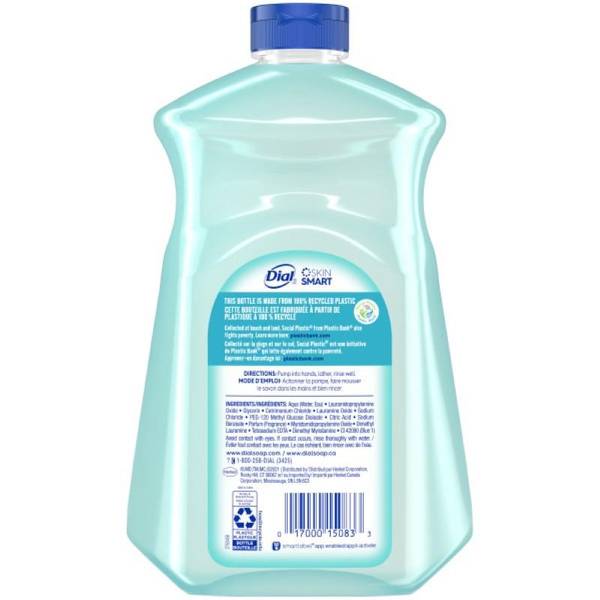 Dial softsoap refill hot sale