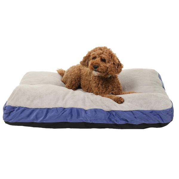 Farm and fleet outlet dog bed