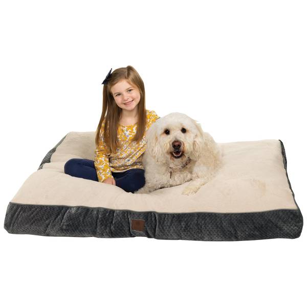 American kennel club memory foam shop sofa extra large dog bed