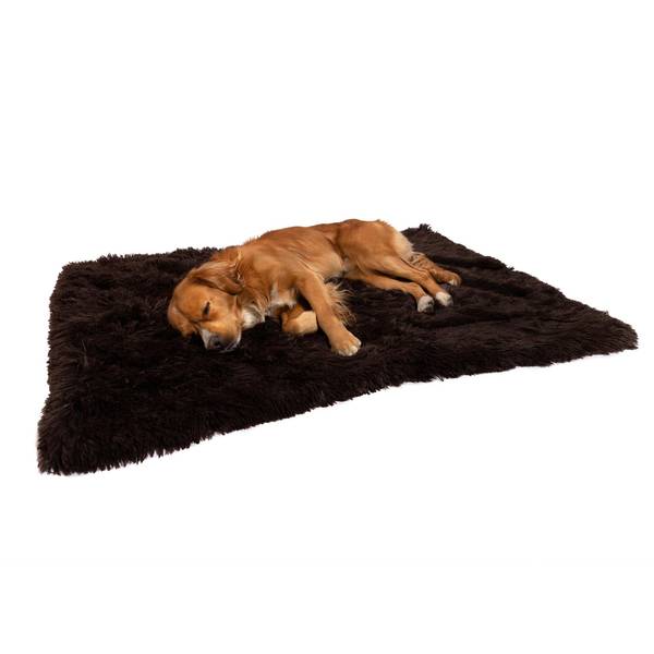 Shag discount dog blanket