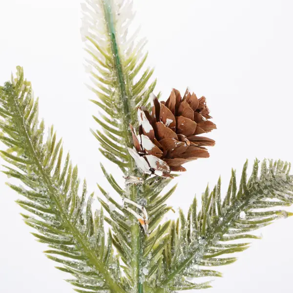 Pine Cones - Goderie's Tree Farm