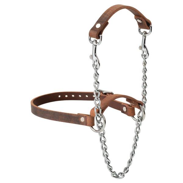 Photo of Total Control Leather Goat Halter