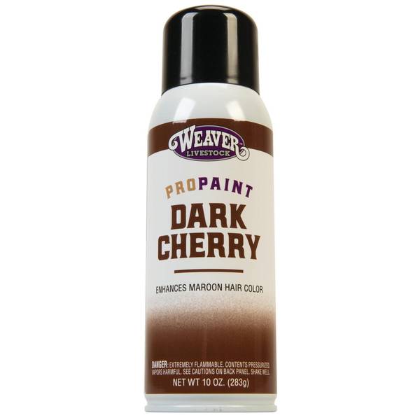 Photo of ProPaint Dark Cherry
