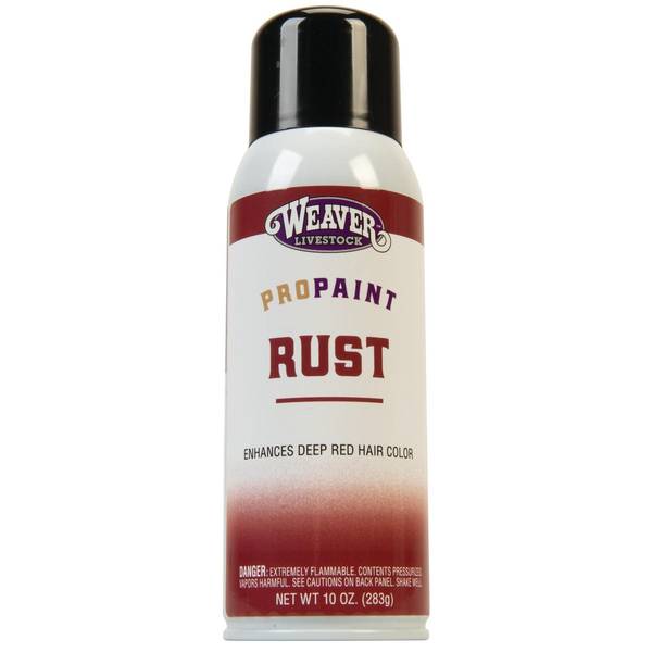 Photo of ProPaint Rust