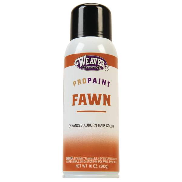 Photo of ProPaint Fawn