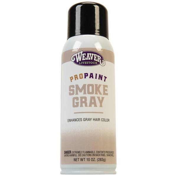 Photo of ProPaint Smoke