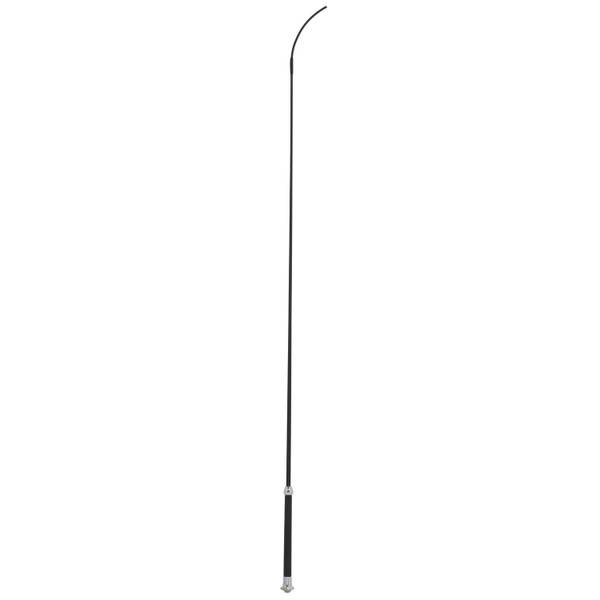 Photo of Basic Whip with Chrome Tipped Handle