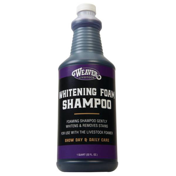 Photo of Whitening Foam Shampoo