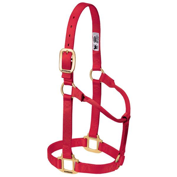 Photo of Original Non-Adjustable Nylon Horse Halter