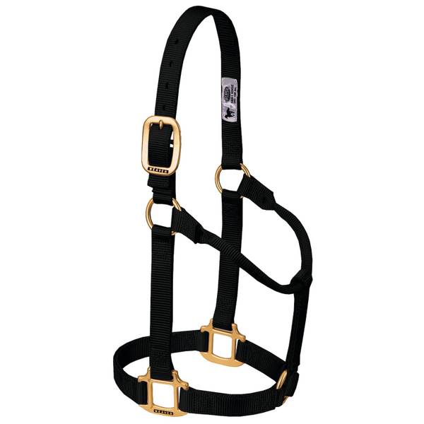 Photo of Original Non-Adjustable Nylon Horse Halter