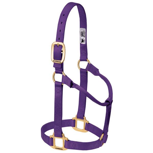 Photo of Original Non-Adjustable Nylon Horse Halter