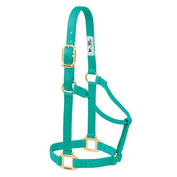Photo of Original Non-Adjustable Nylon Horse Halter