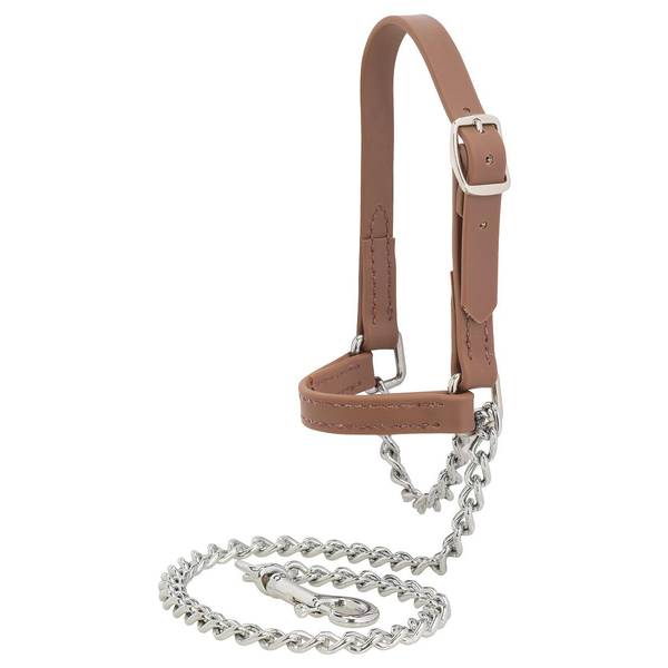 Photo of Brahma Webb Goat Halter, Brown